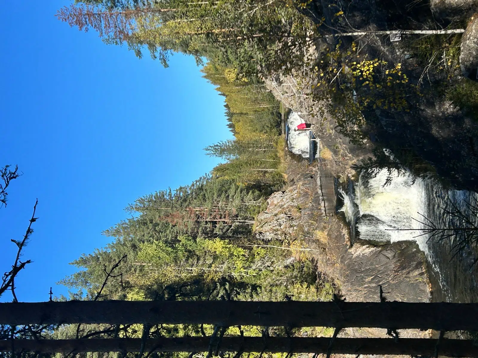 Waterfall descending between dark rocks in a dense forest