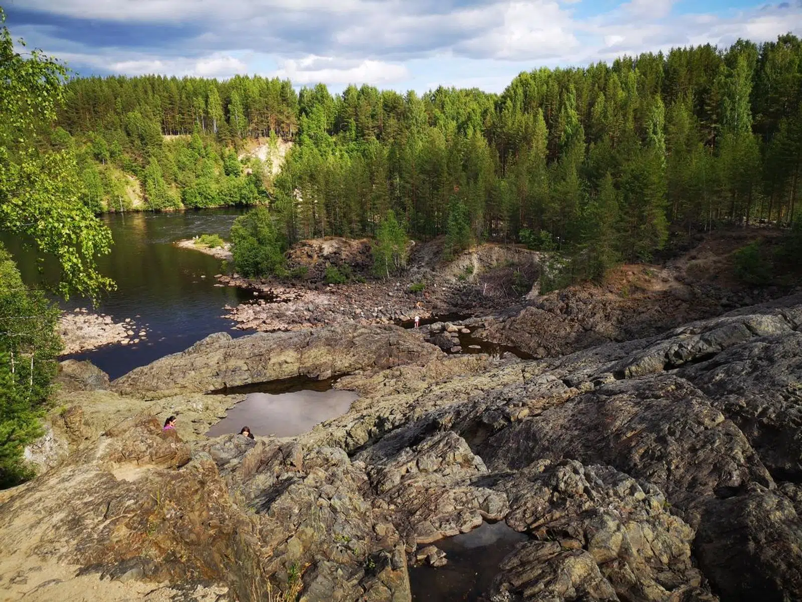 Group walking across pale stone outcrops among pines