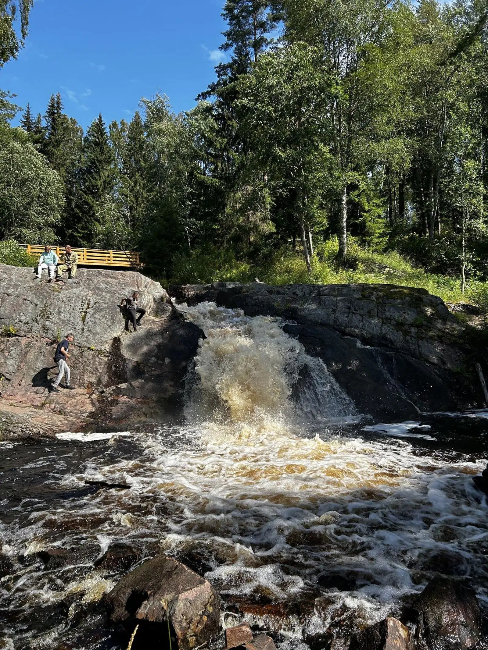 Brown river rapids rushing through a forested rocky channel