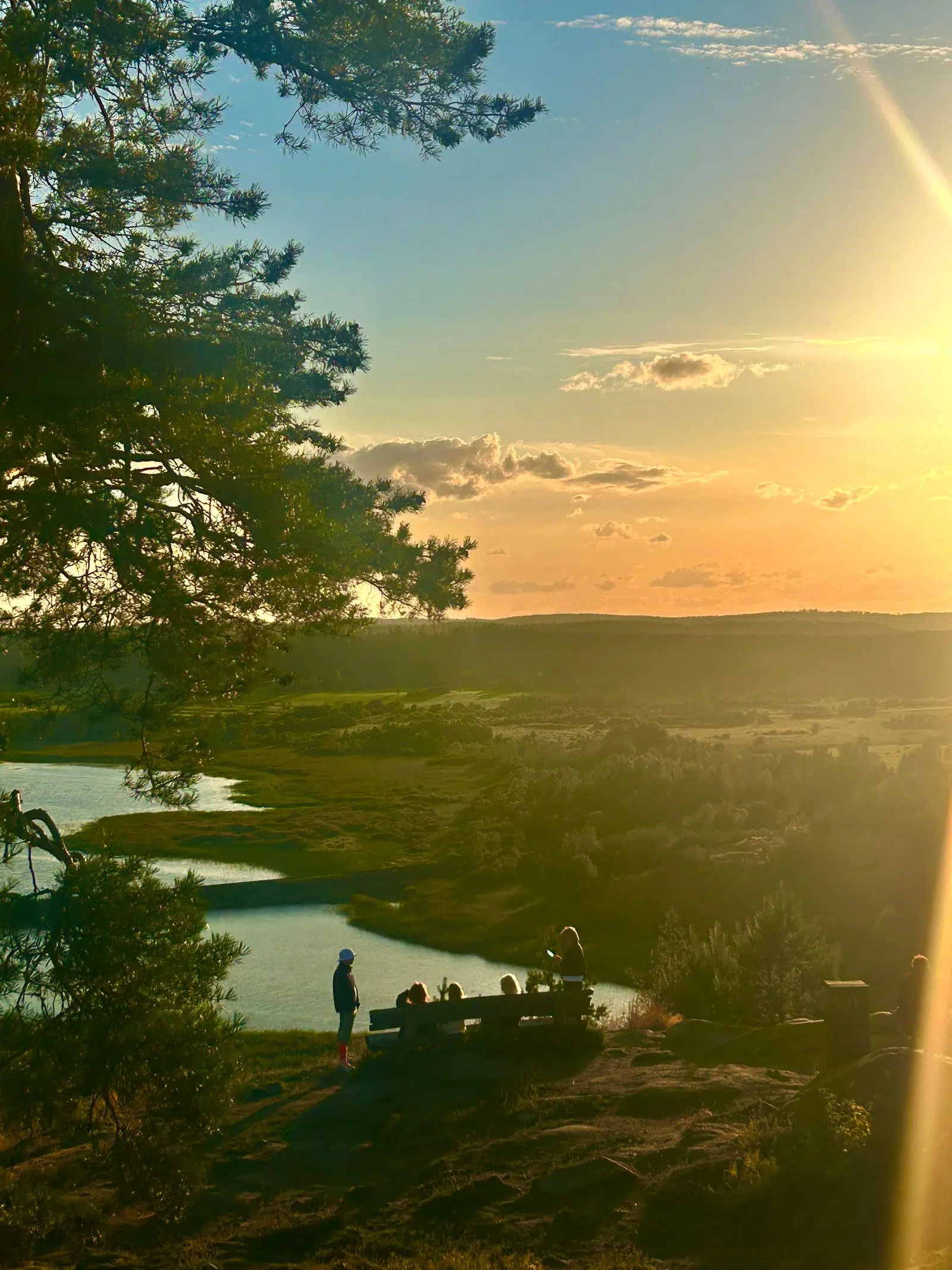 Golden sunset seen through pine trees above a Karelian lake