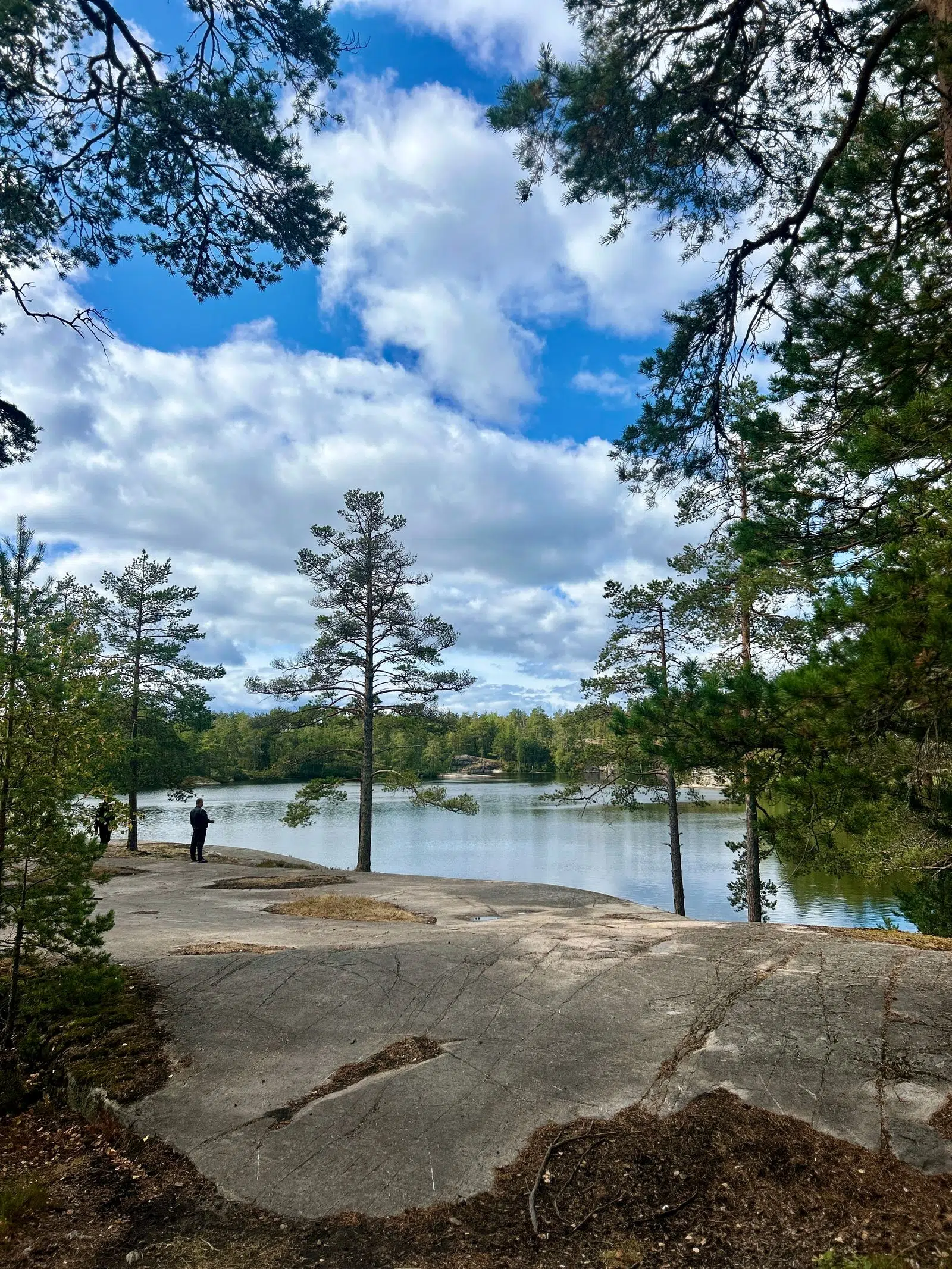 Pine-framed view of exposed rock and a calm Karelian lake