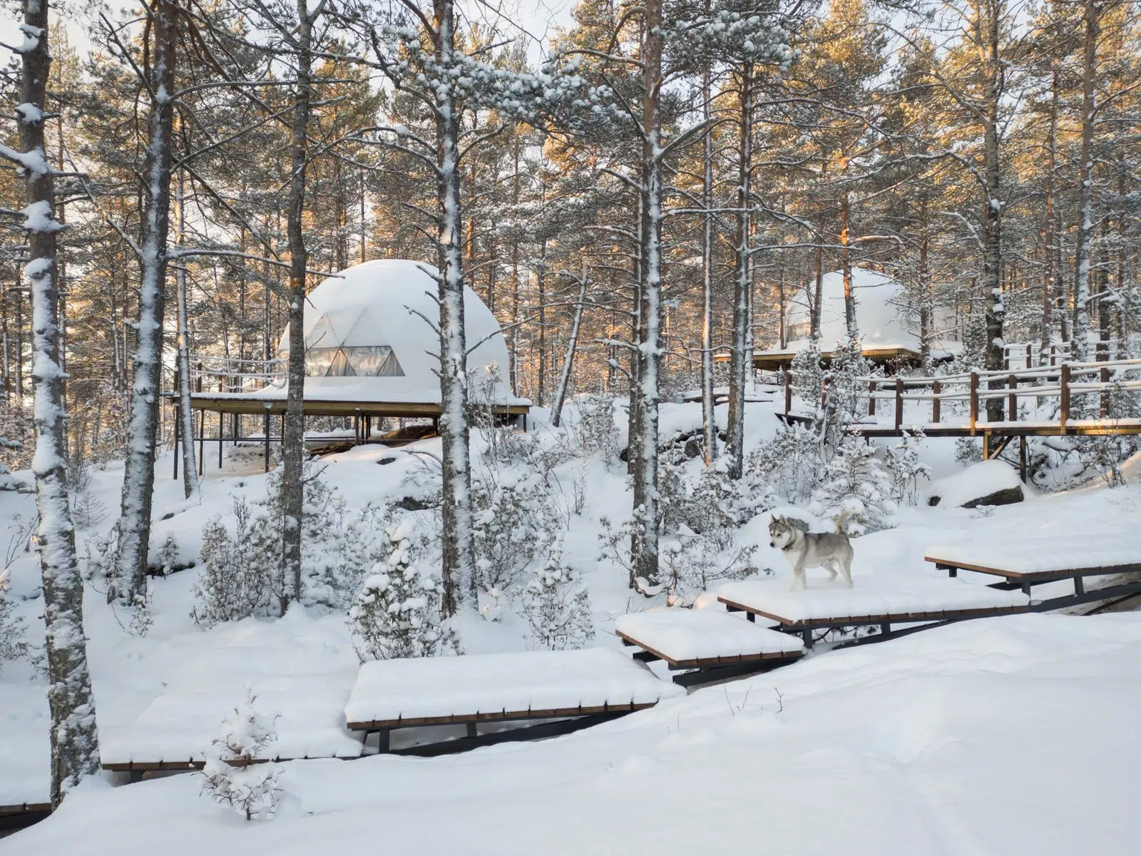 Image 10 from the Tastes of Karelia: Winter tour gallery