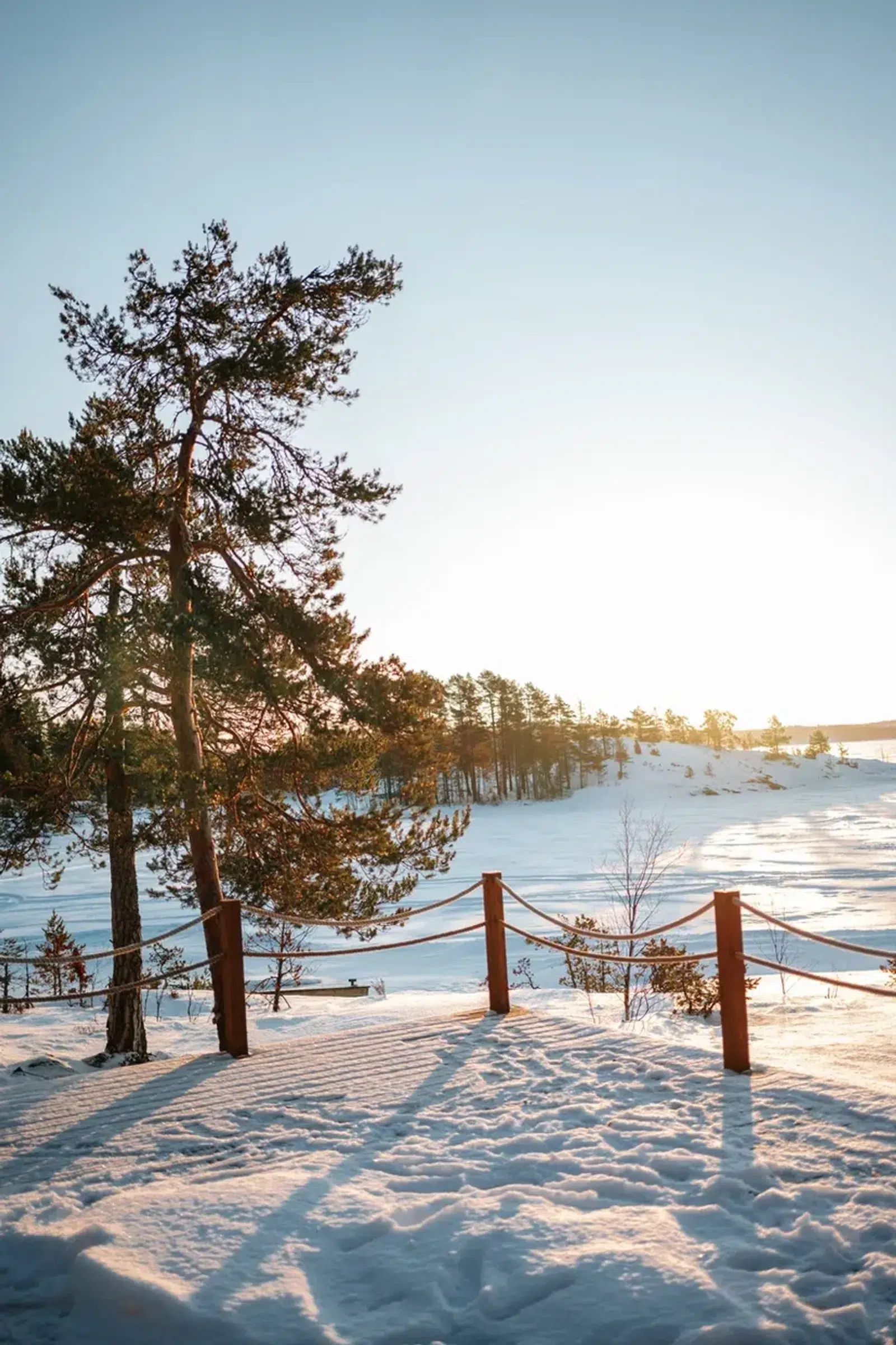 Image 6 from the Tastes of Karelia: Winter tour gallery